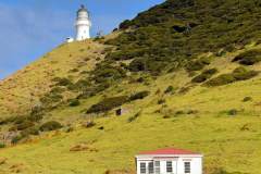 Cape-Brett-Lighthouse-and-Doc-Hut