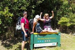 Oke-Bay-Scenic-Reserve-Trail-Head